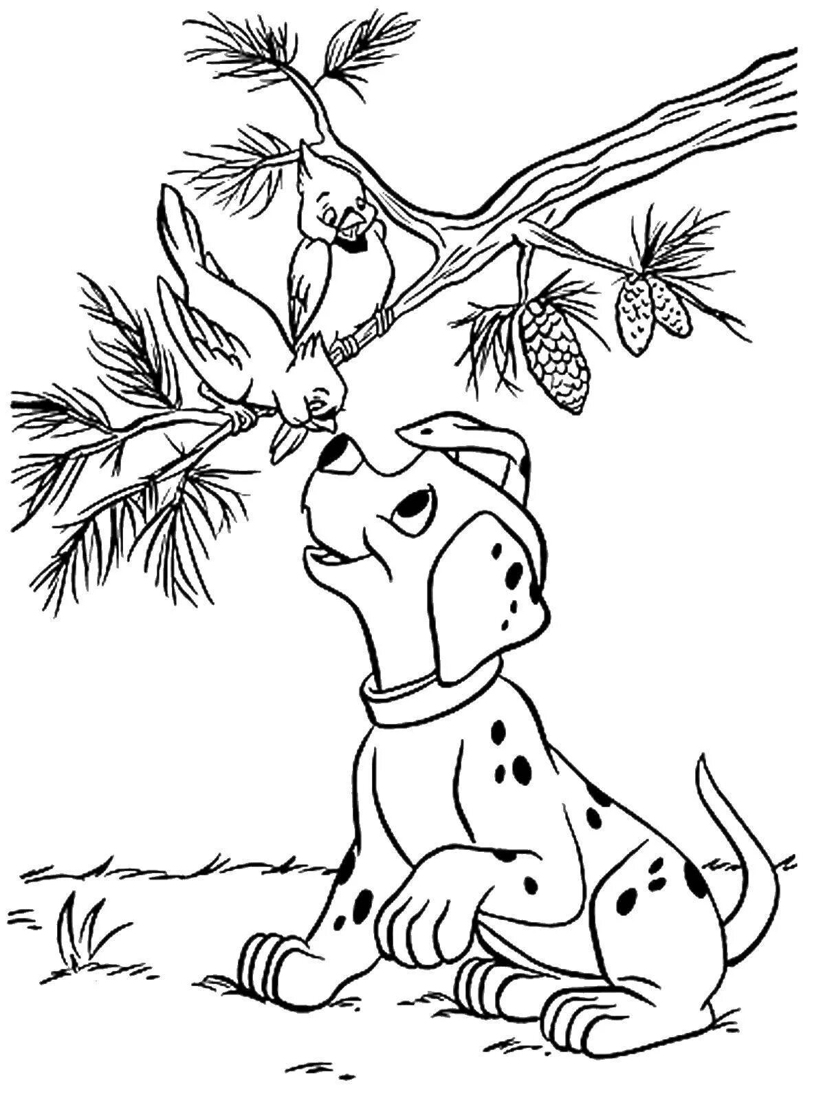 The first hunt of the wonderful bianca