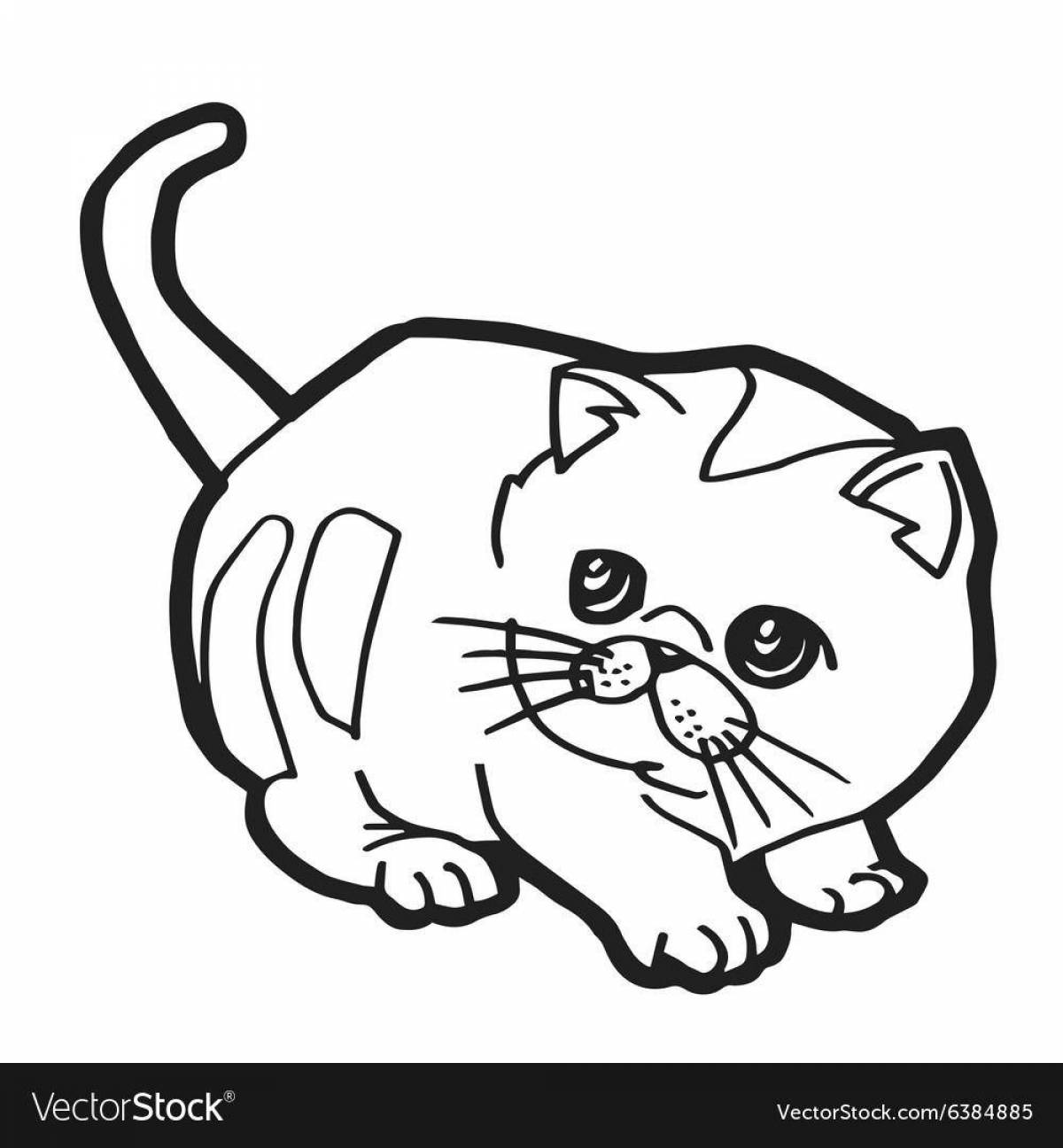 Раскраска очаровательная шотландская вислоухая кошка