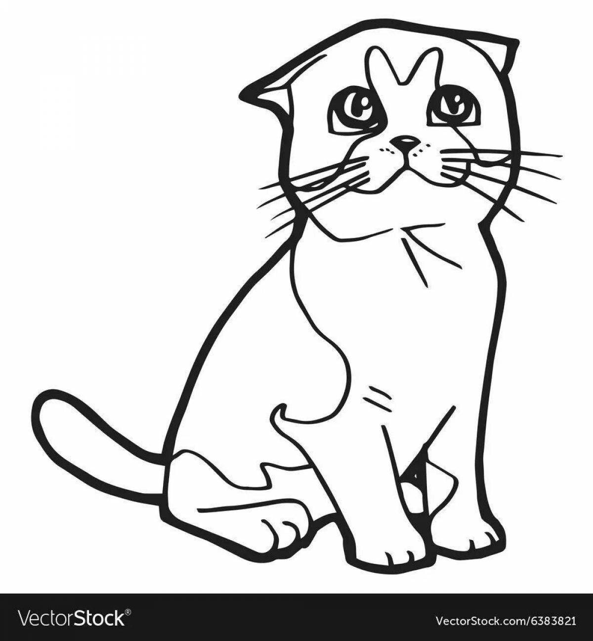 Раскраска игривая шотландская вислоухая кошка