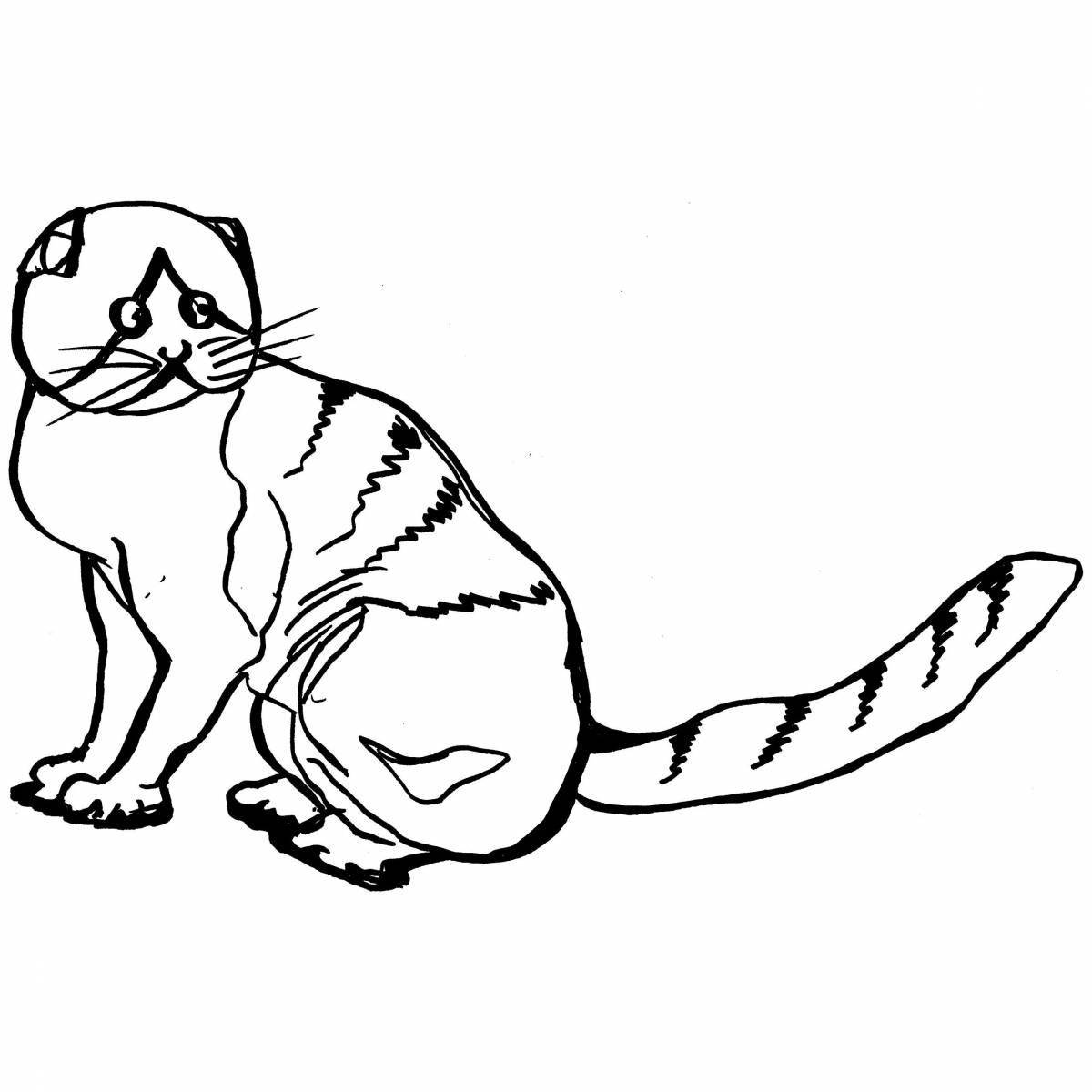 Coloring page graceful scottish fold cat