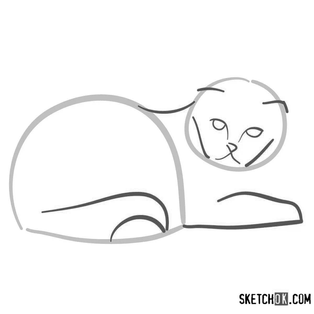 Coloring funny scottish fold cat
