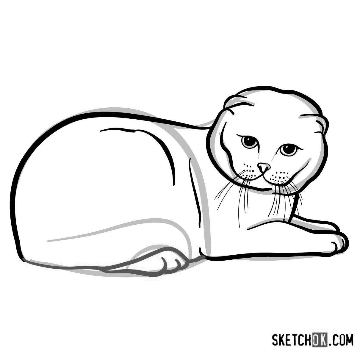 Coloring page gorgeous scottish fold cat