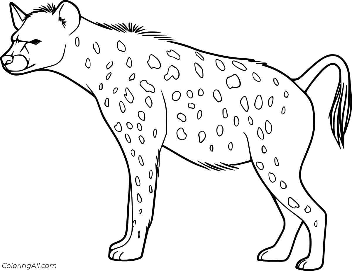Amazing hyena coloring page for kids