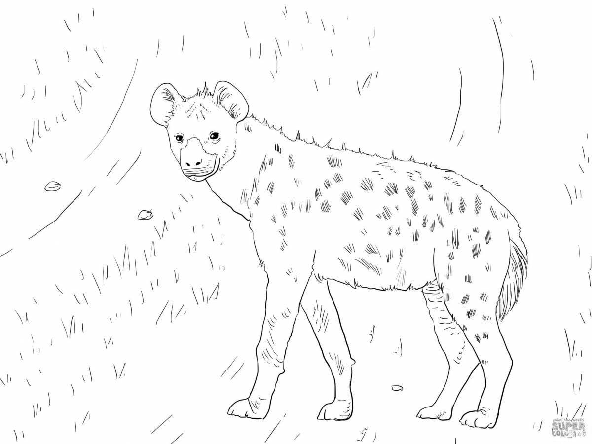 Amazing hyena coloring book for kids