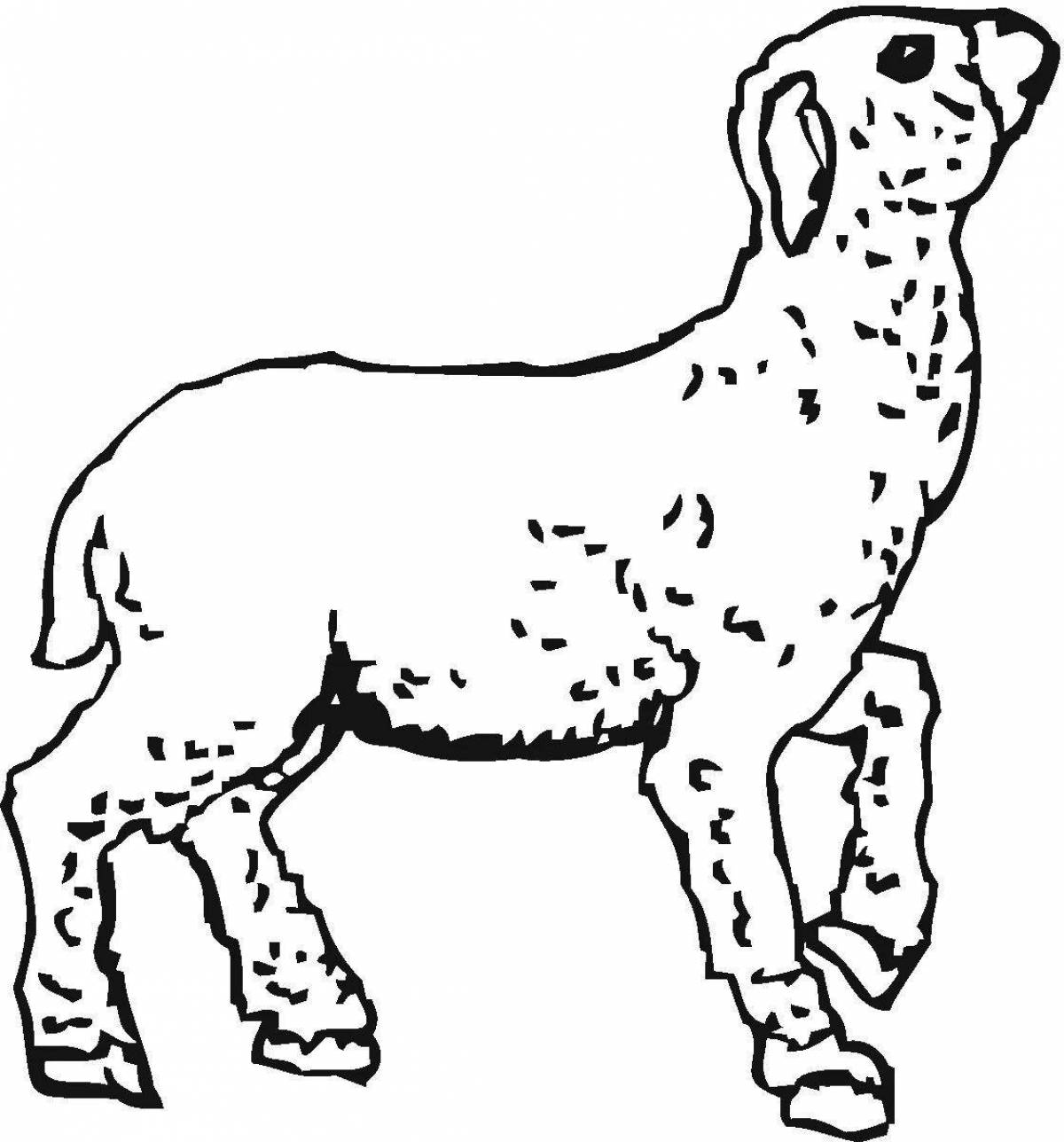 Glorious lamb and wolf coloring page