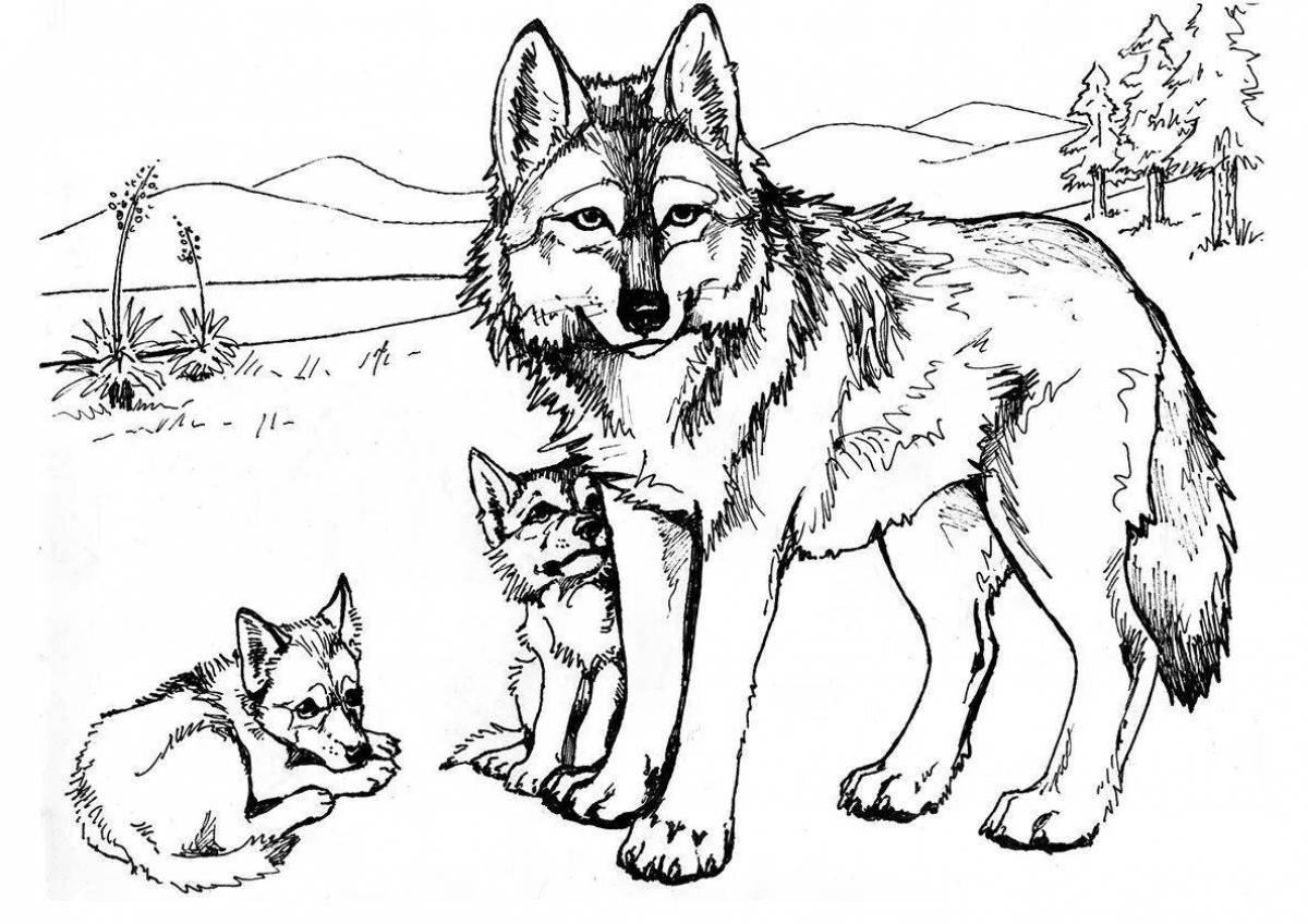 Cute lamb and wolf coloring page