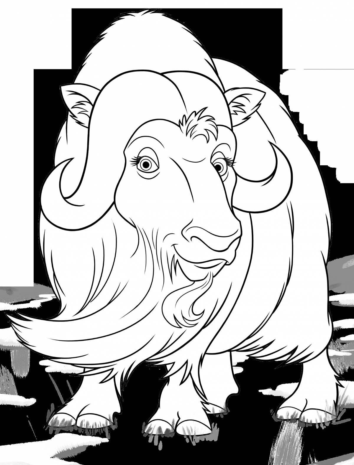 Colorful musk ox coloring page for kids