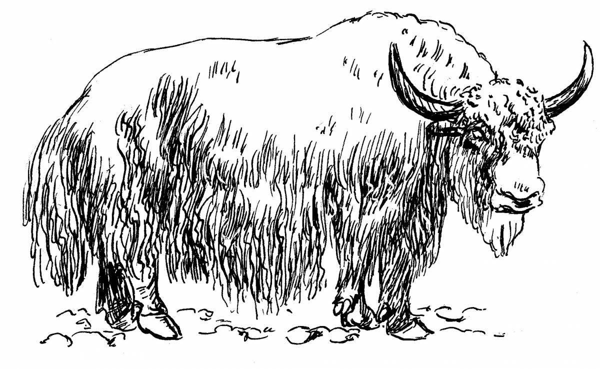 Vibrant musk ox coloring page for kids