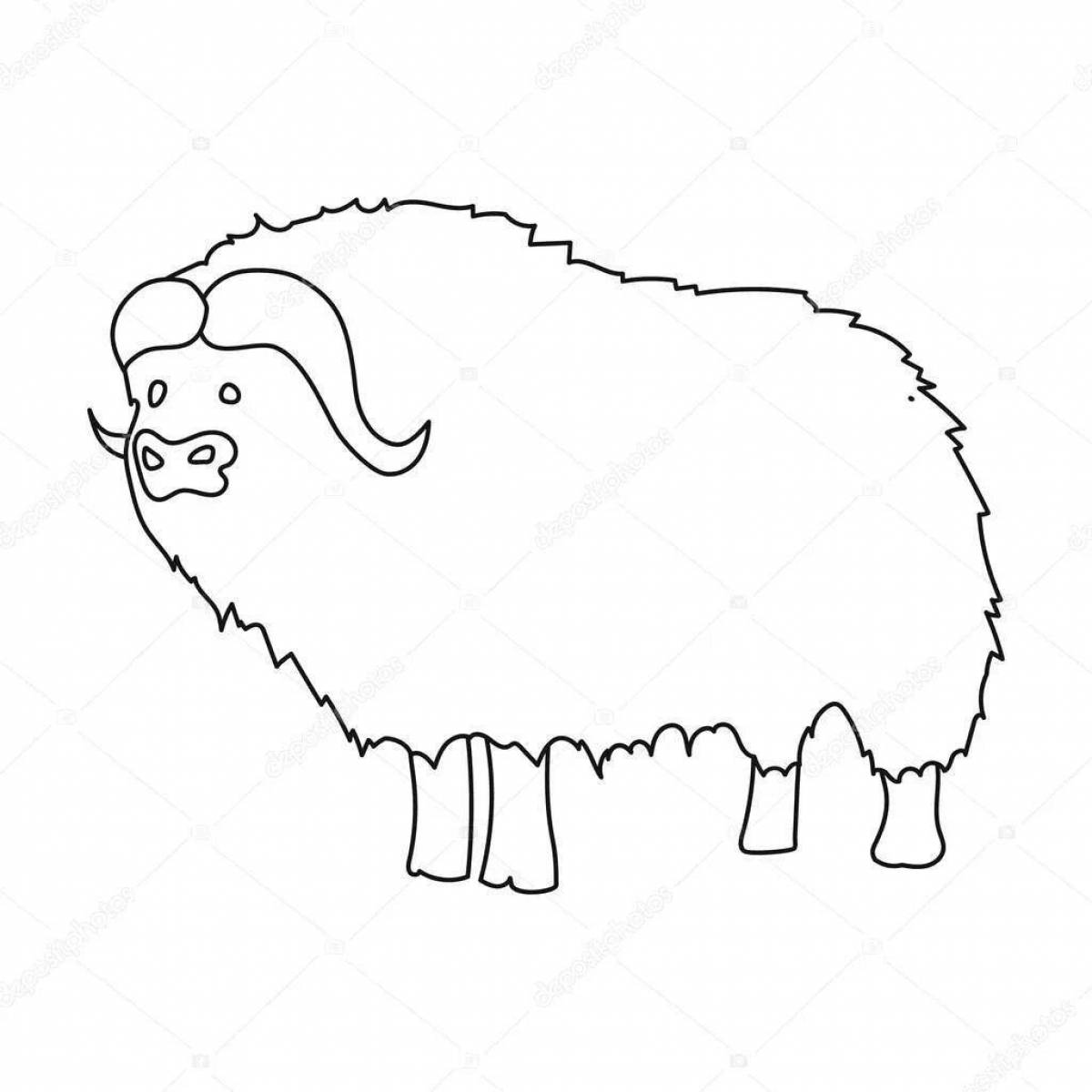 Musk Ox funny coloring book for kids