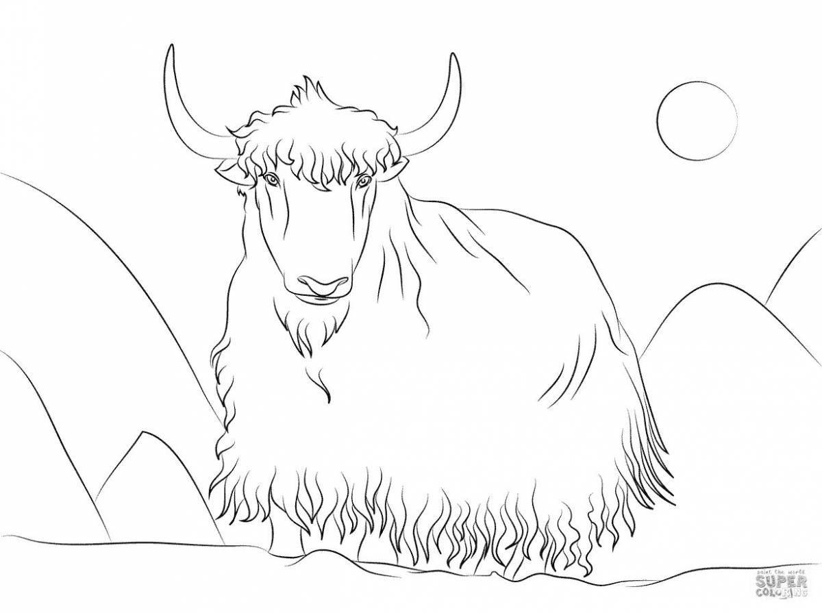 Coloring book cheerful musk ox for children