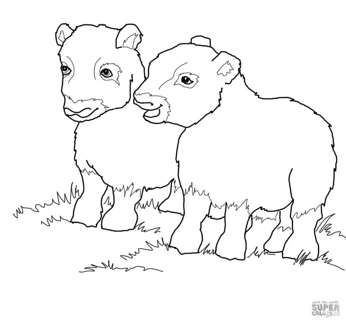 Завораживающая раскраска овцебык для детей