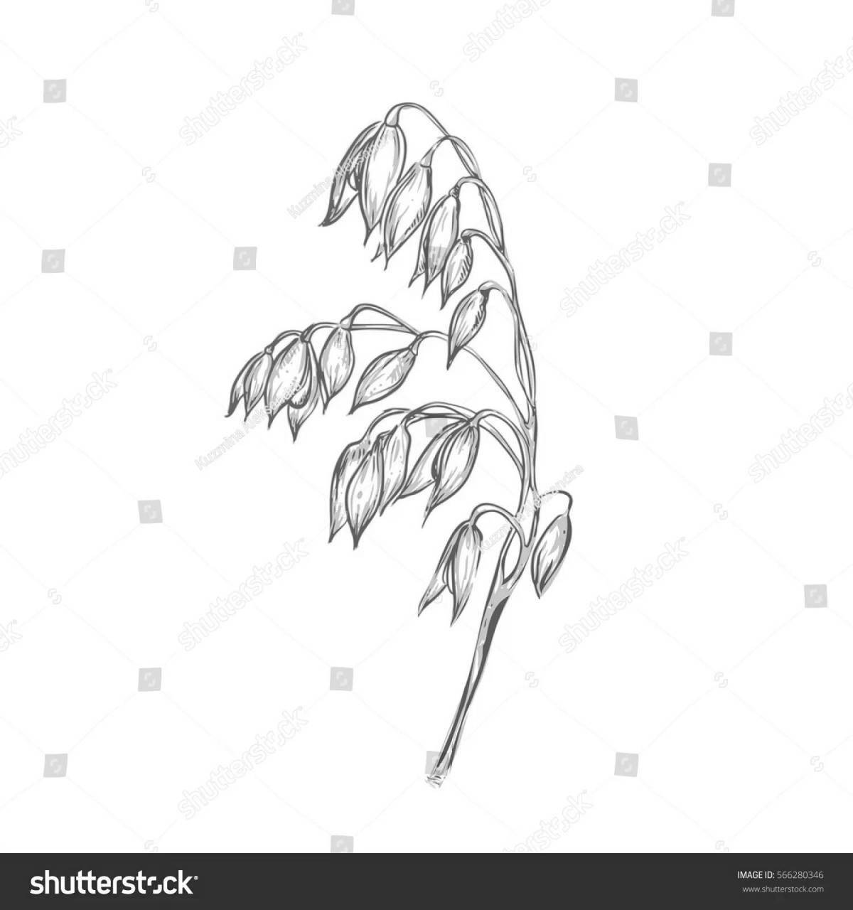 Photo Colorful oats coloring page for kids