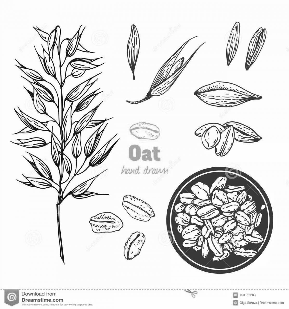Photo Joyful oats coloring book for kids
