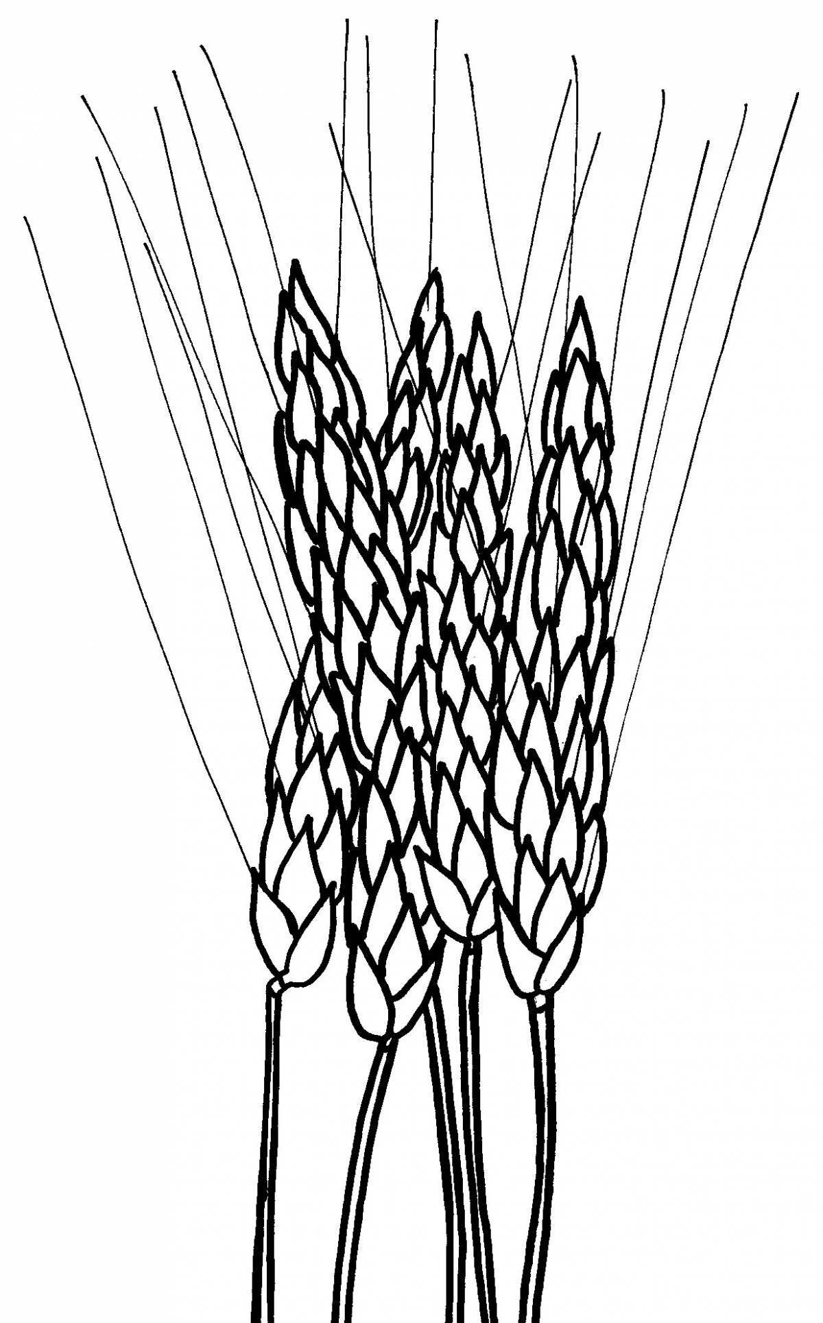 Photo Glowing oats coloring book for kids