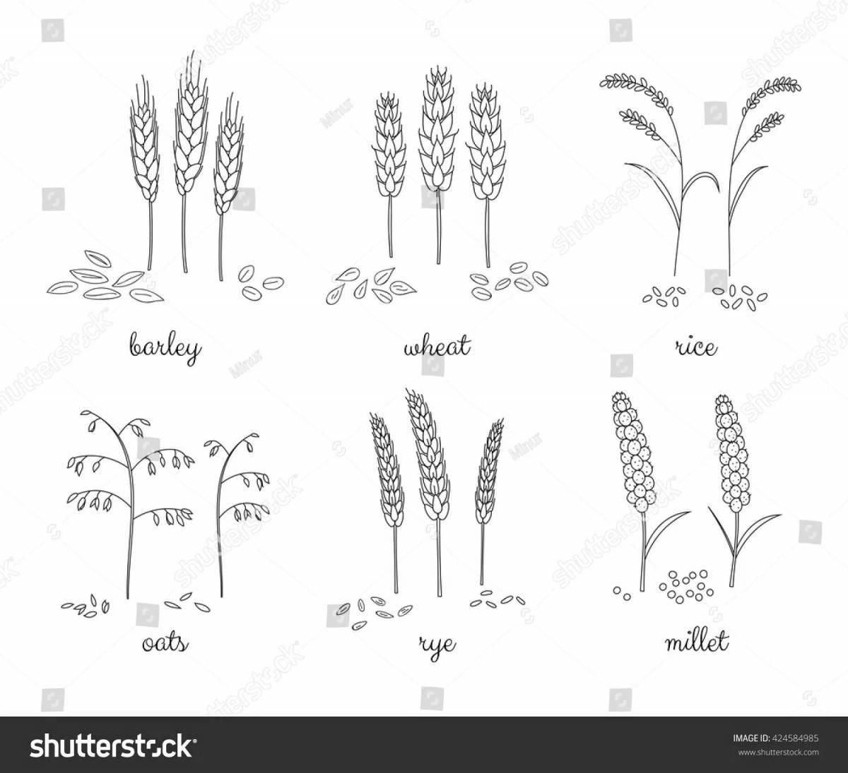 Photo Fun coloring oats for babies