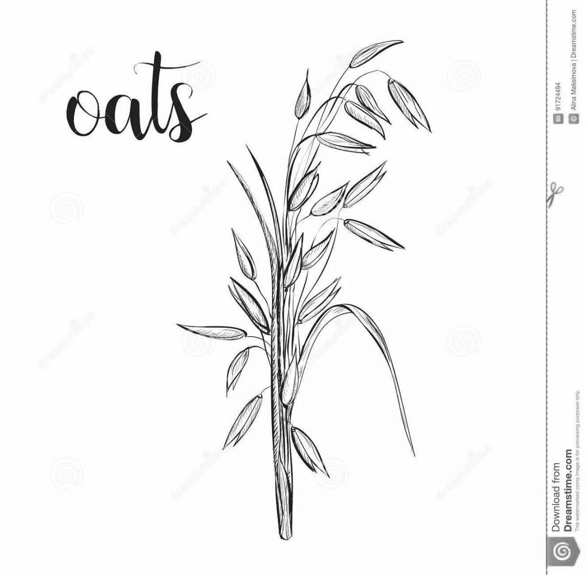 Photo Gorgeous oats coloring book for kids