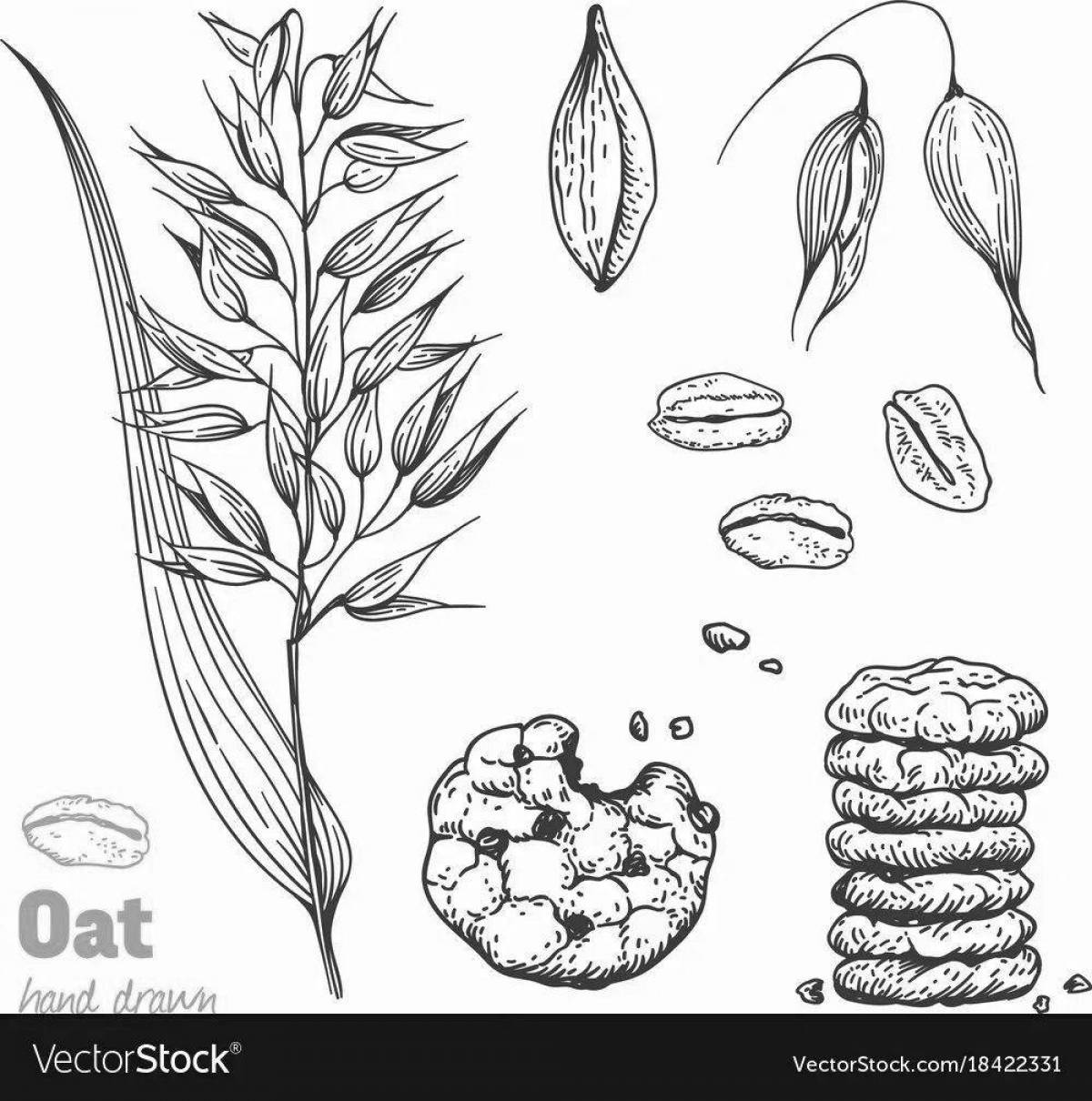 Photo Fun oat coloring for babies