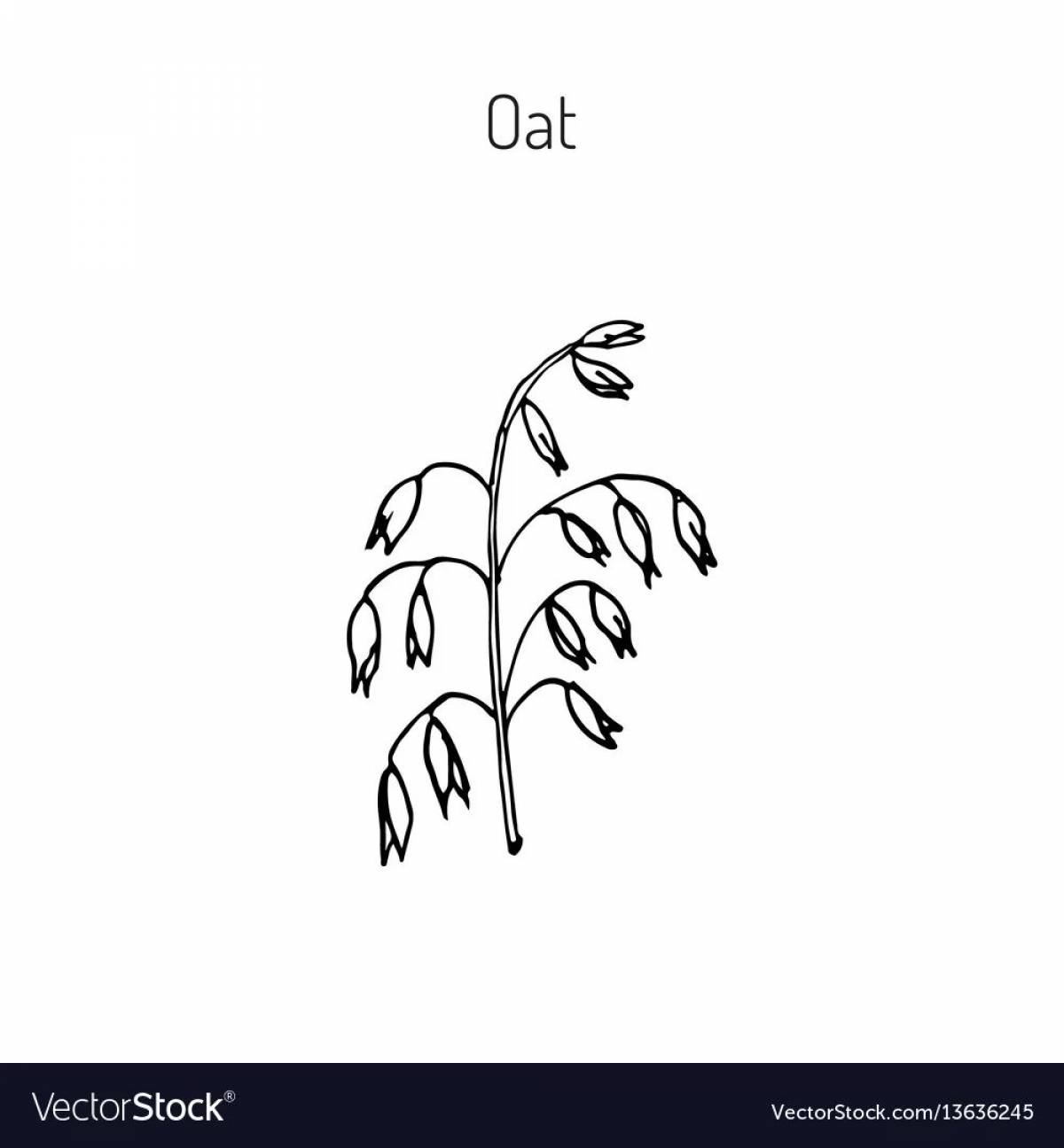 Stimulating coloring book of oats for children
