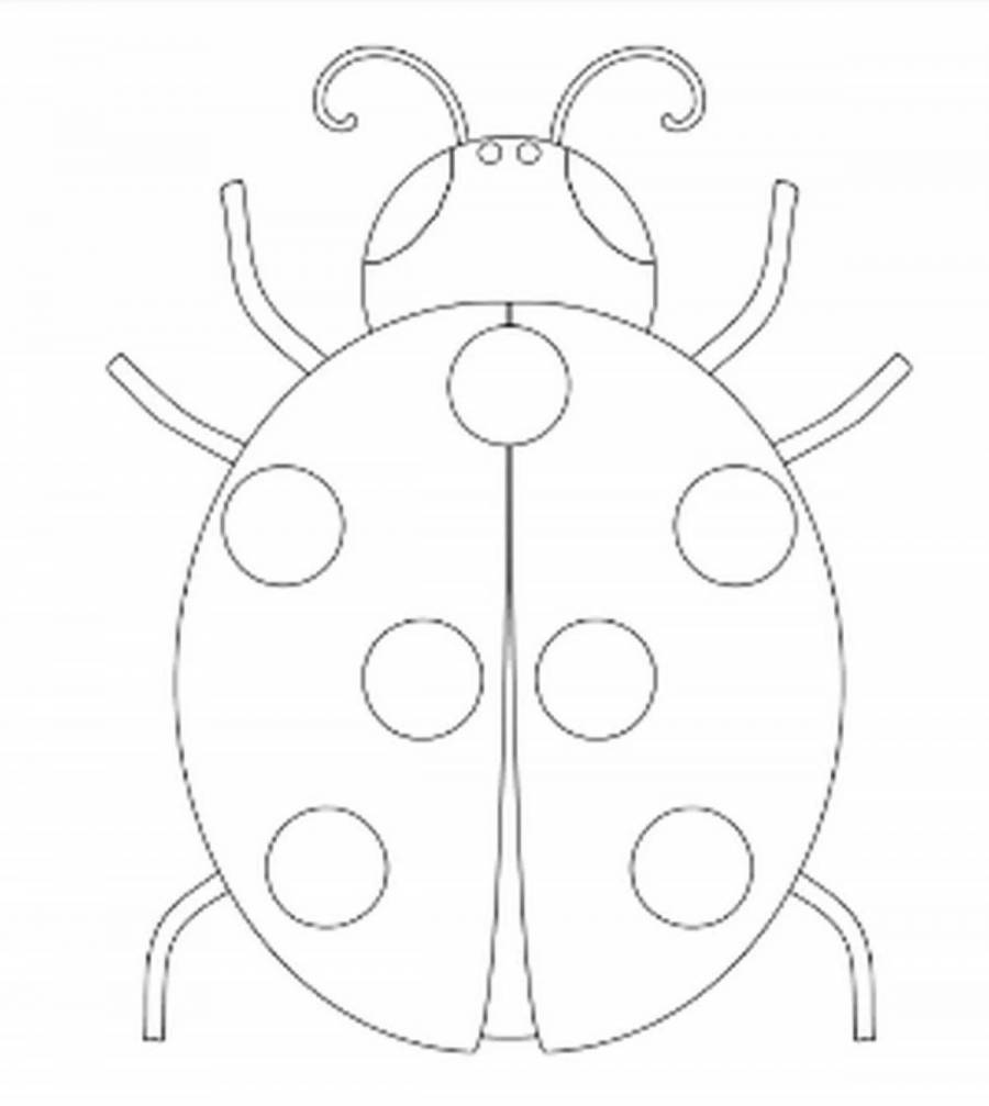 божья коровка шаблон для рисования