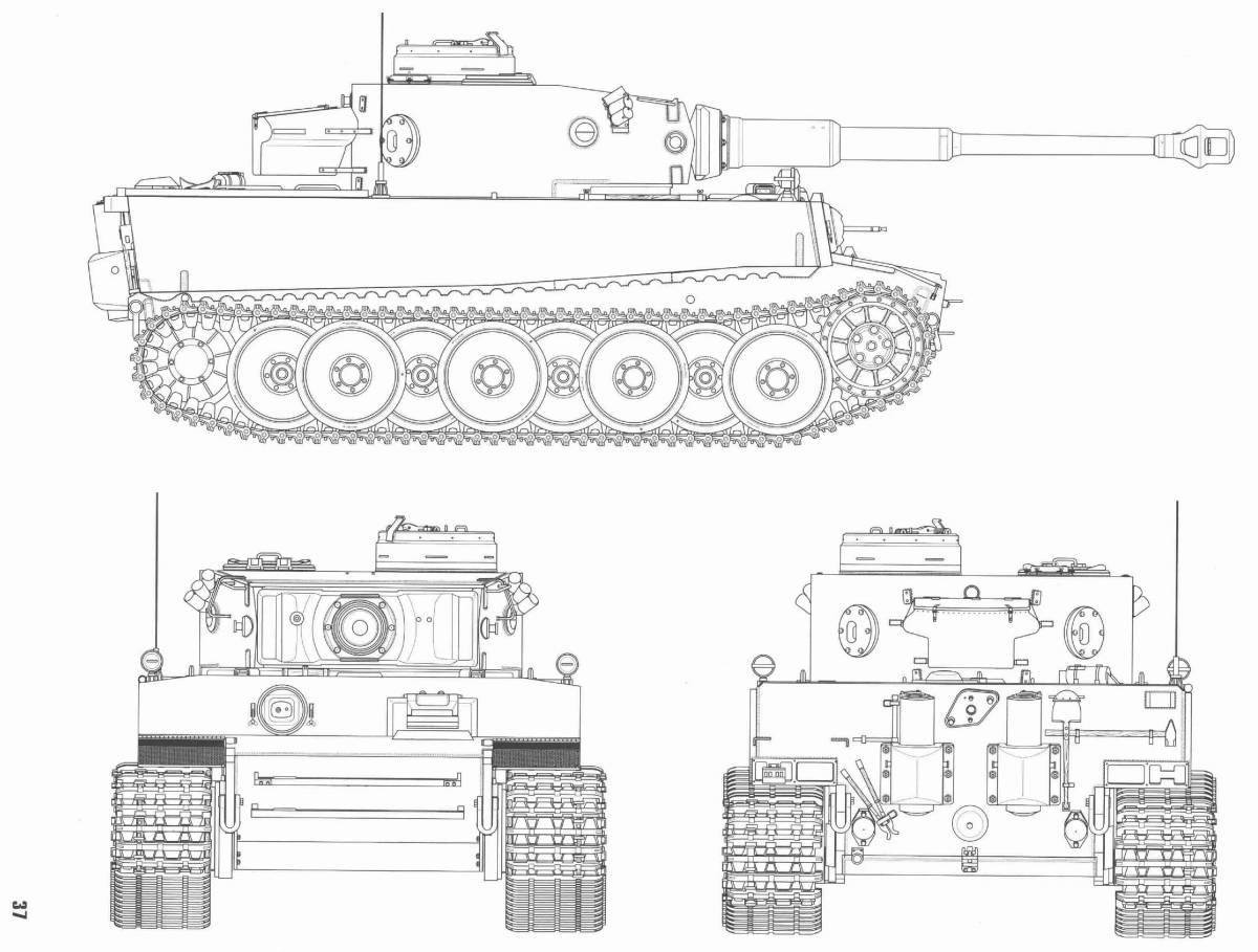 Раскраска элегантный белый тигровый танк