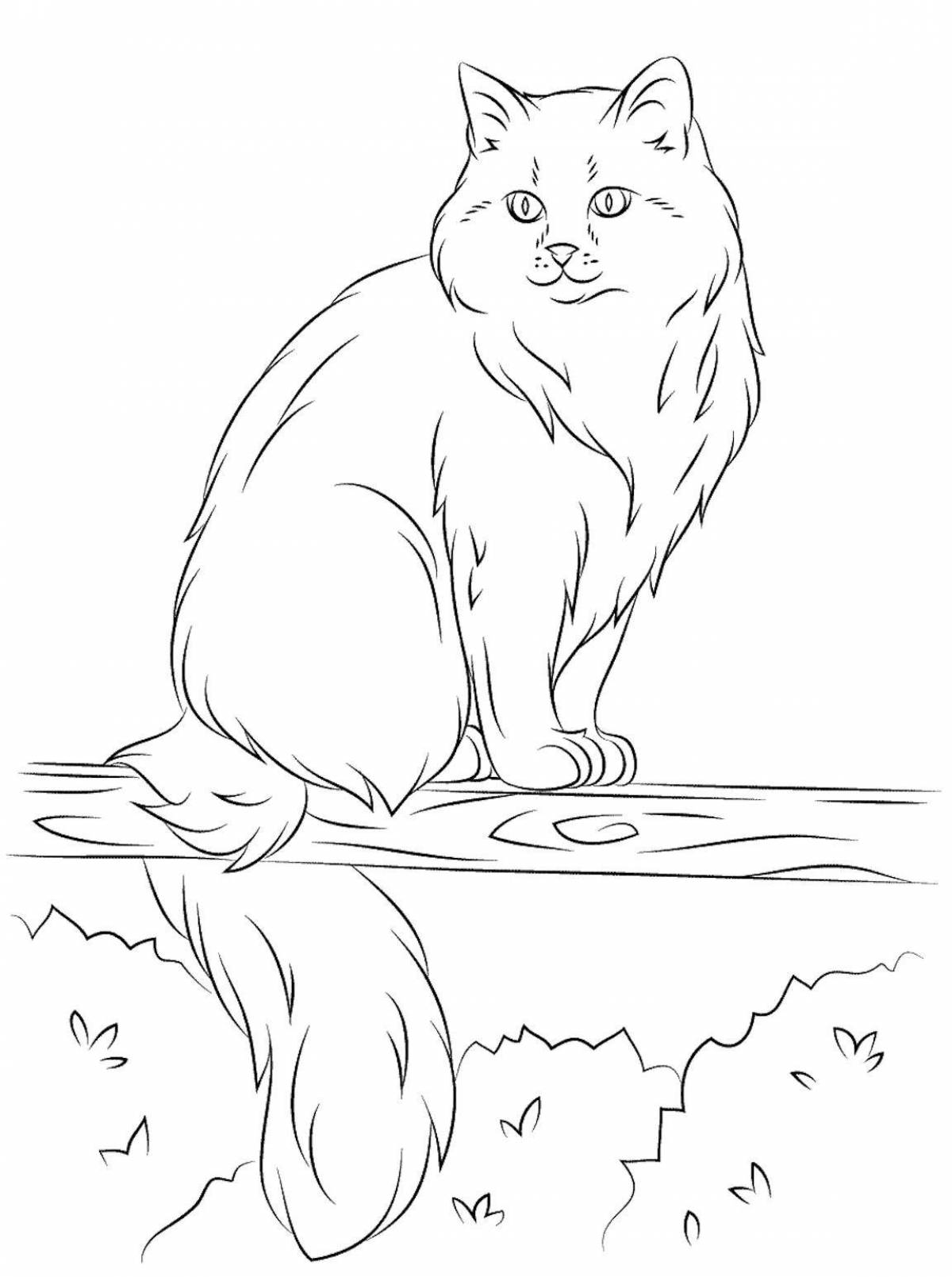 Coloring book fluffy Amur forest cat