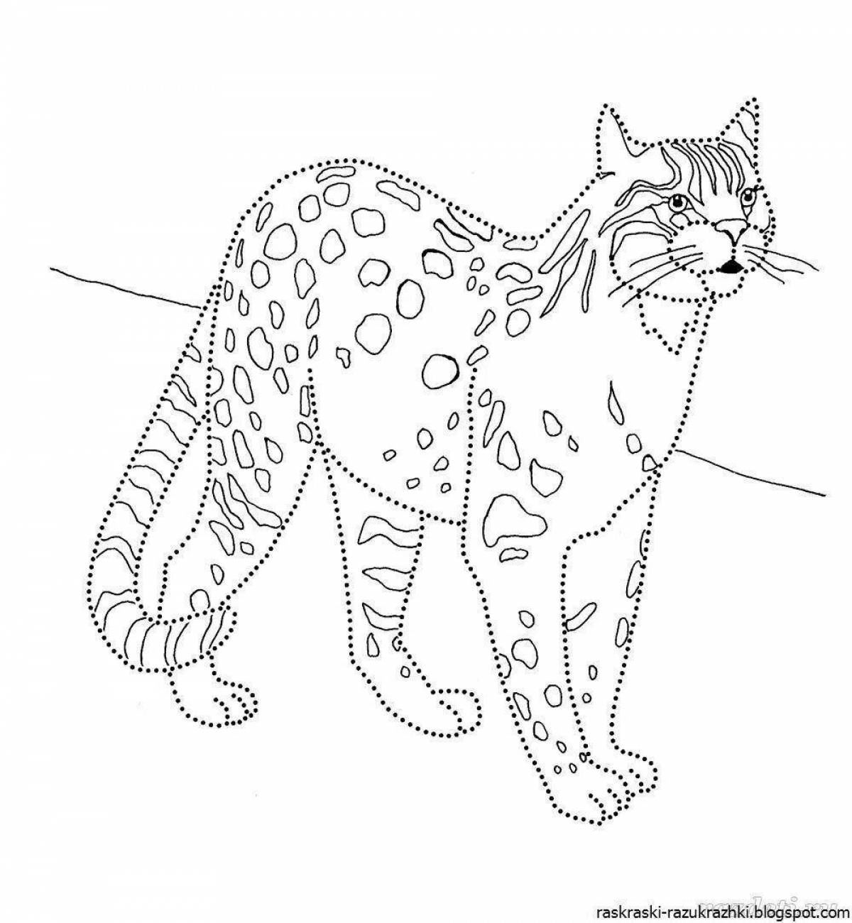 Coloring book elegant Amur forest cat