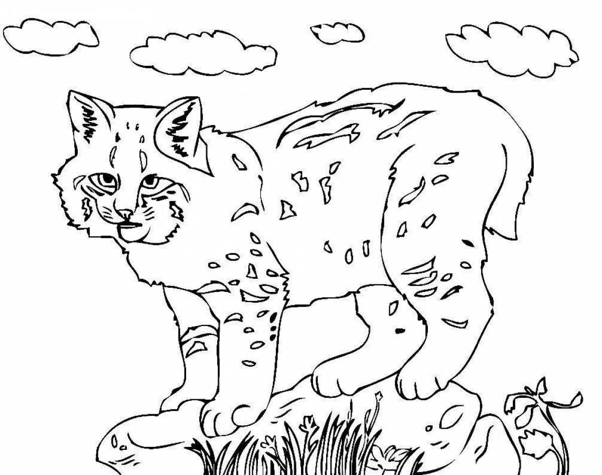 Coloring book bright Amur forest cat