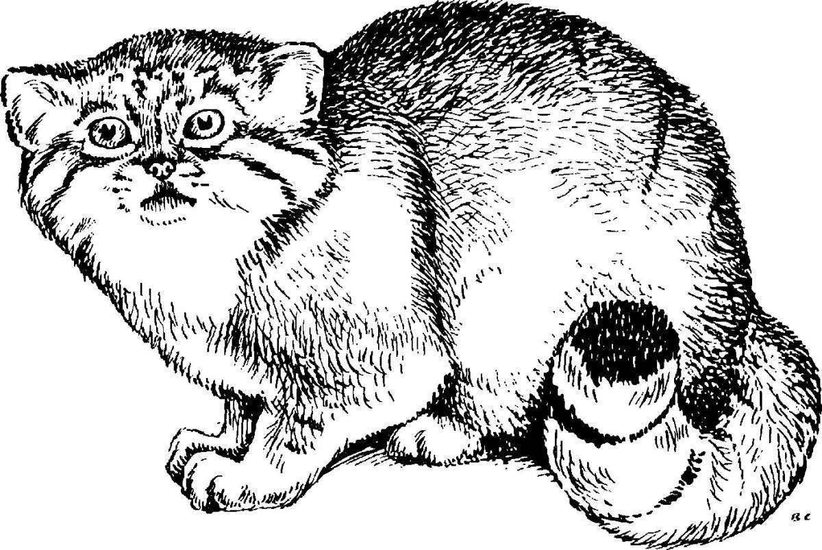 Adorable Amur forest cat coloring page