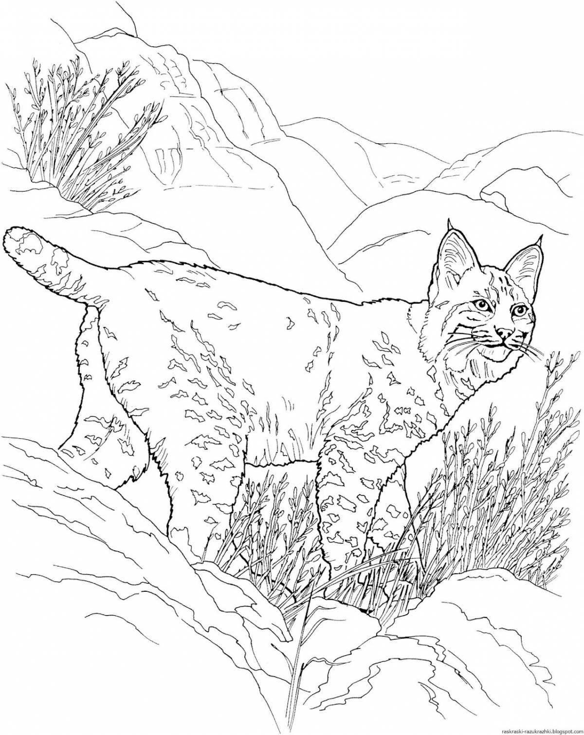 Coloring book nice Amur forest cat