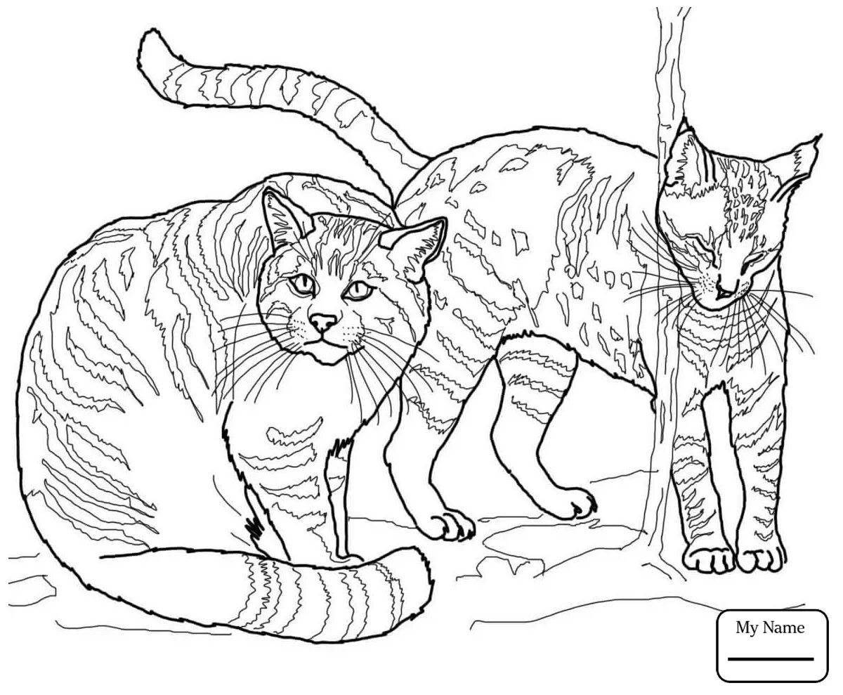 Coloring book radiant amur forest cat