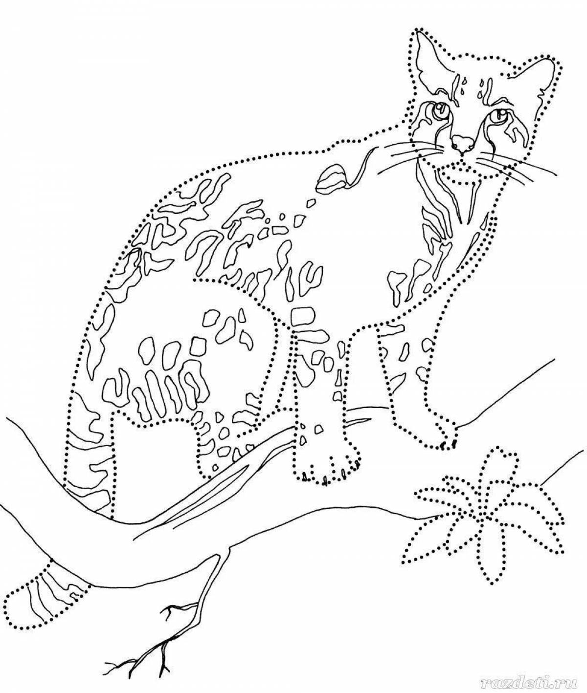 Coloring book noble Amur forest cat
