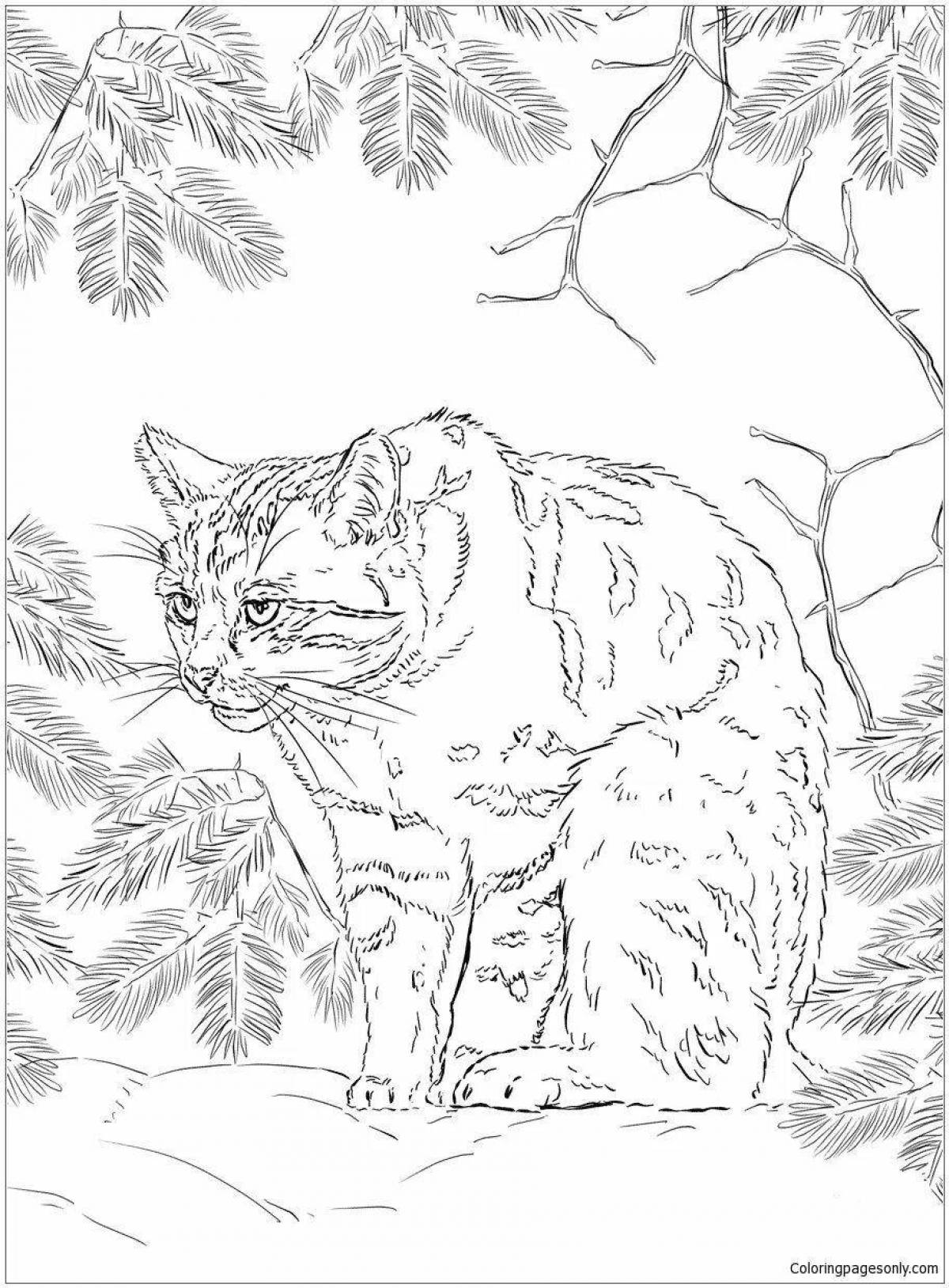 Coloring book peaceful Amur forest cat