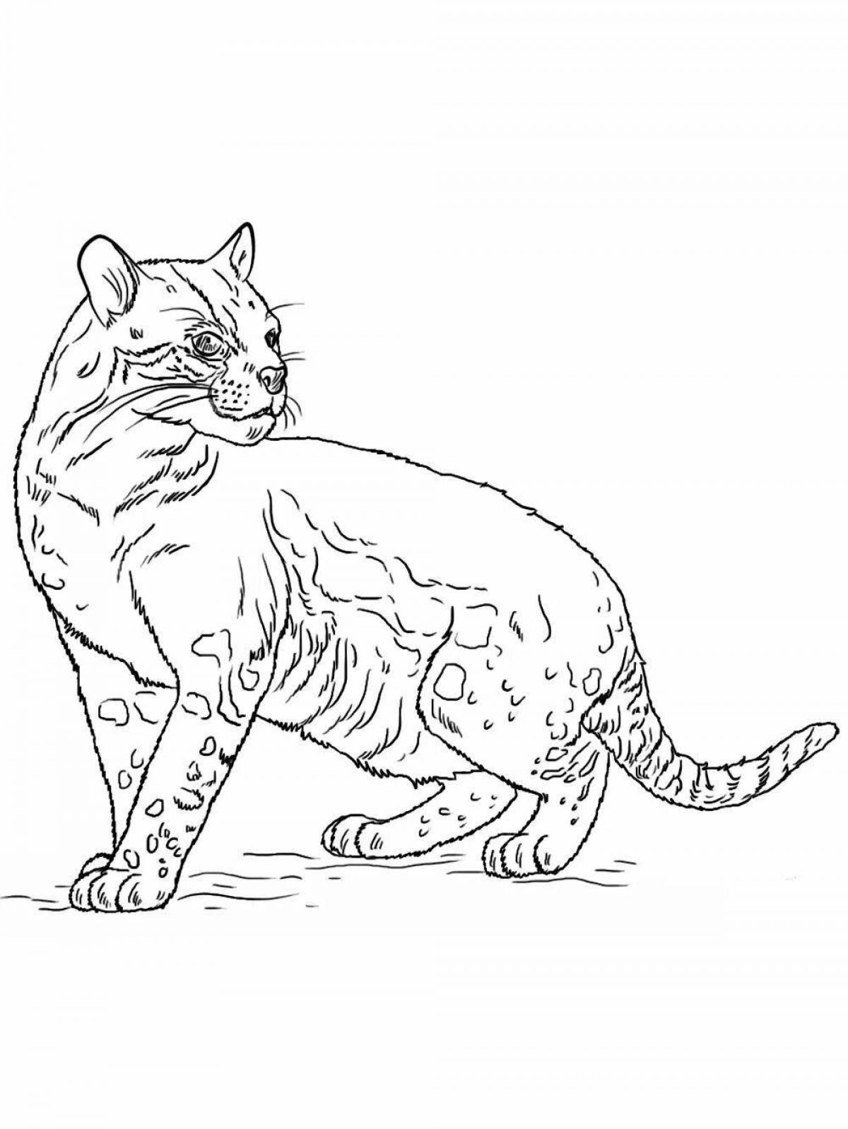 Coloring book calm Amur forest cat