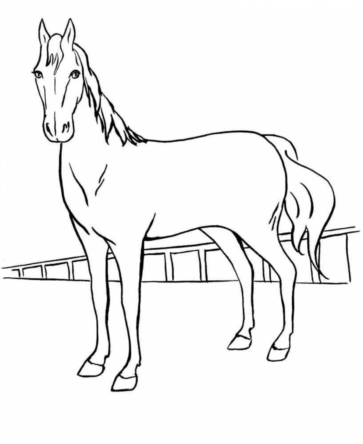Величественная белая раскраска лошадь лошади