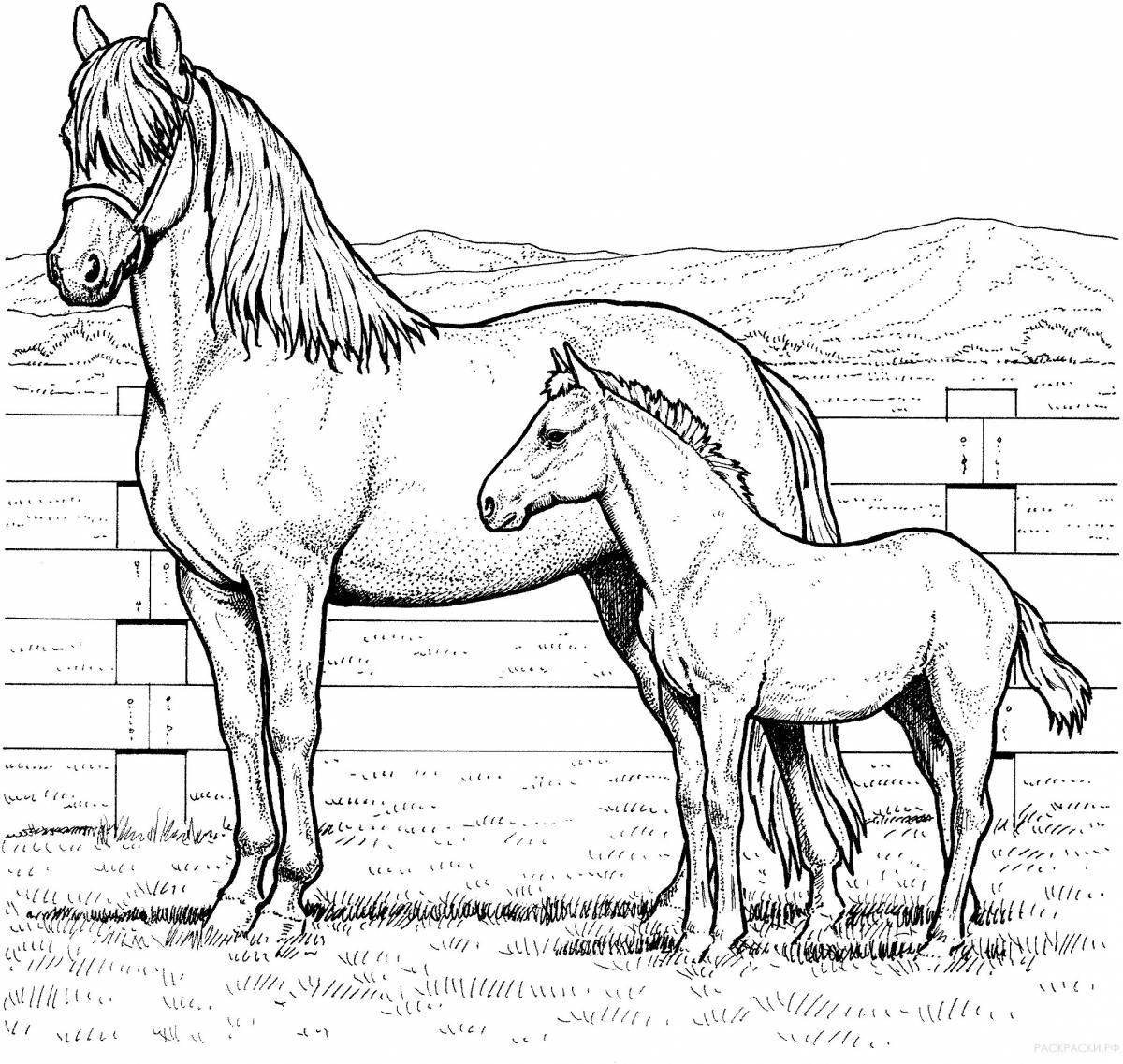Coloring book majestic palomino horses horses