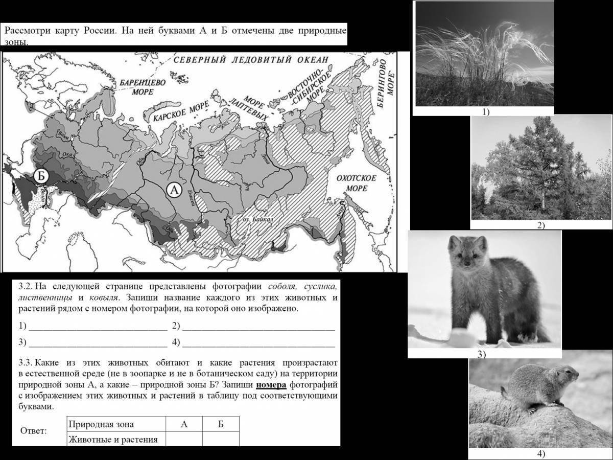 Photo Exquisite coloring of natural areas Grade 4