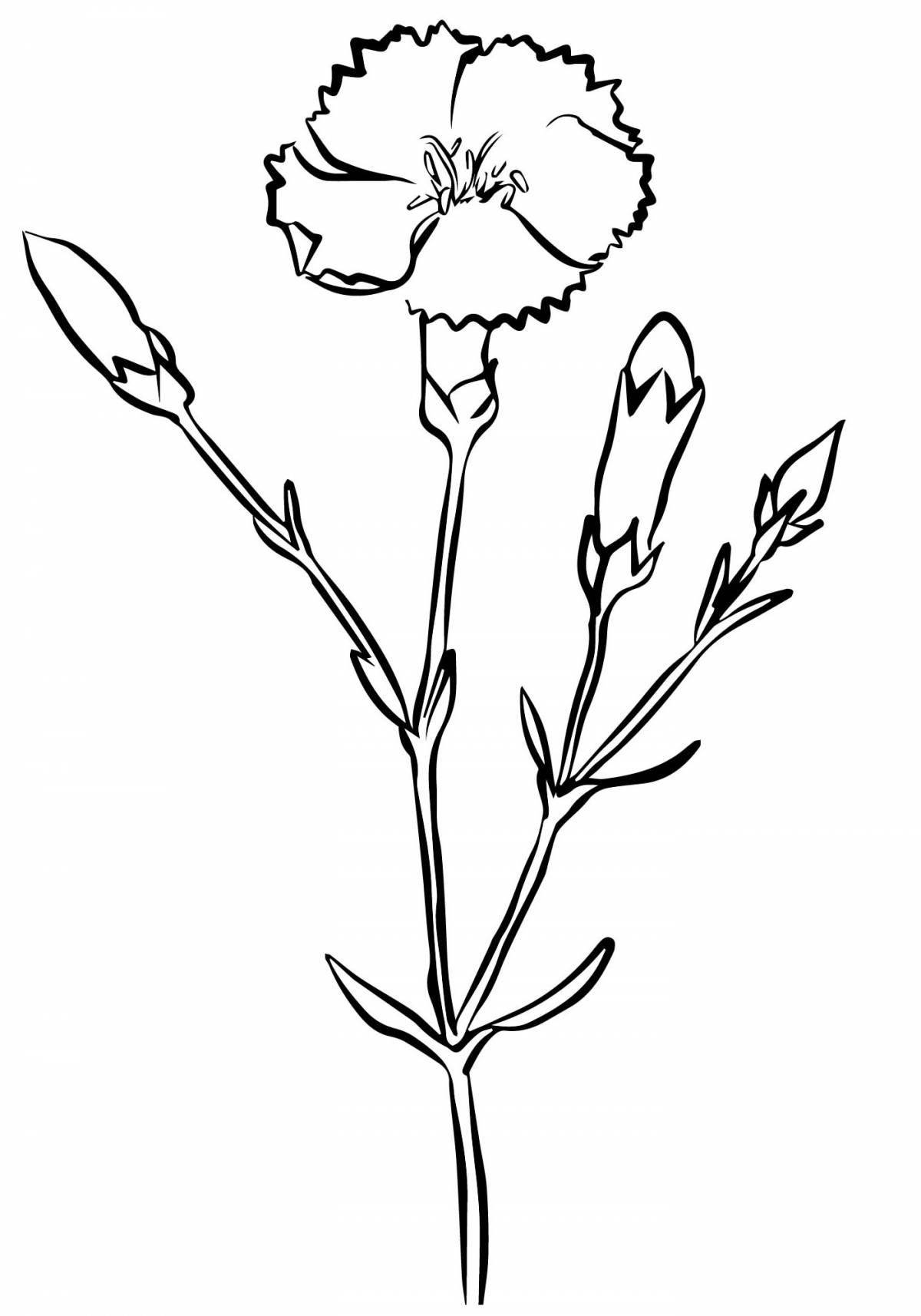 Playful carnation coloring page for kids