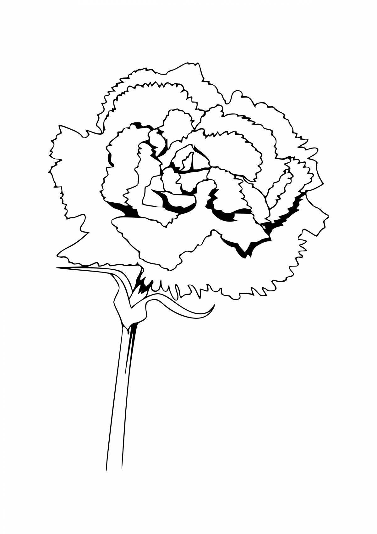 Coloring book magic carnation for children