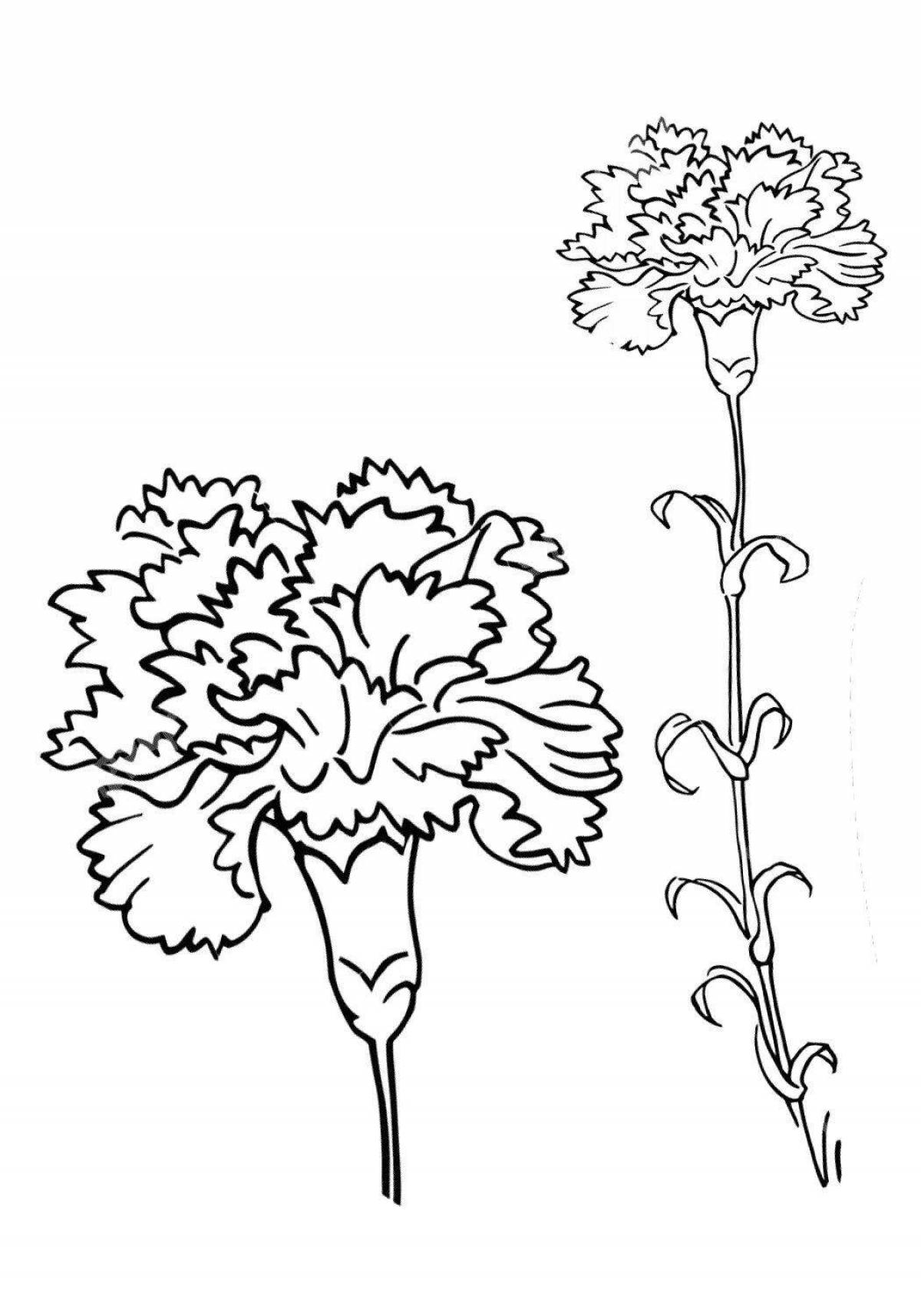 Sparkling carnation coloring book for kids