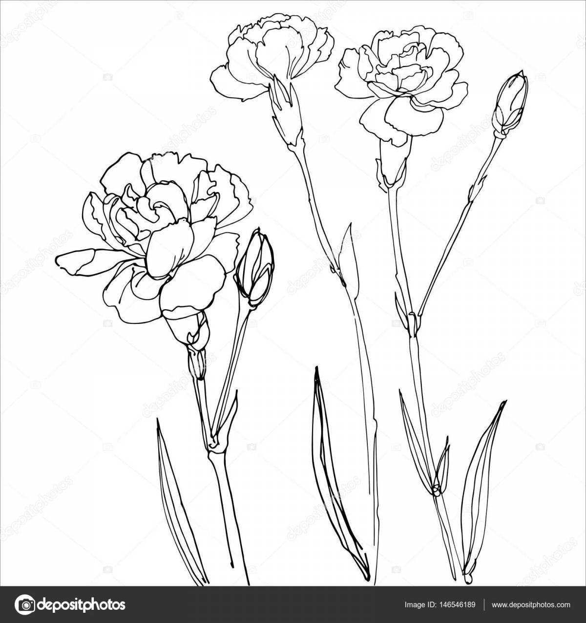 Photo Lovely carnation coloring page for kids