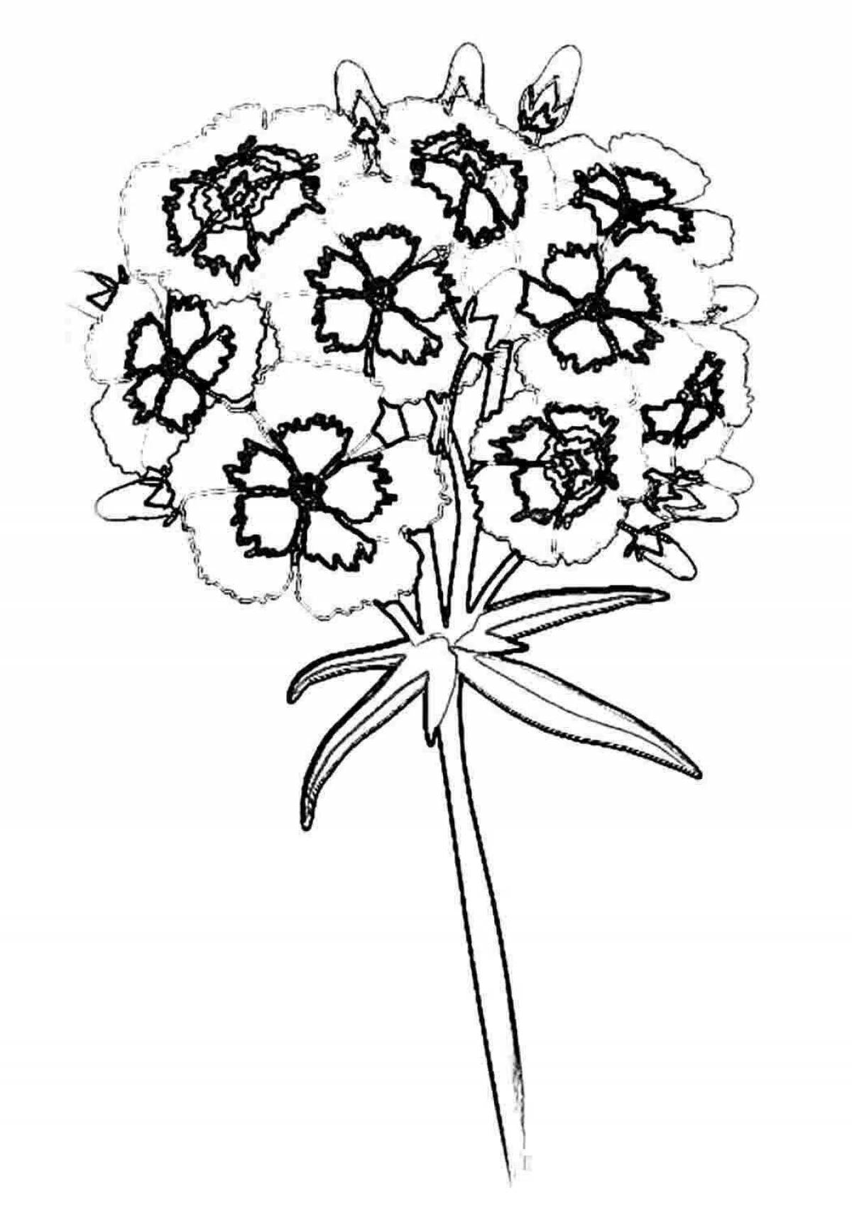 Cute carnation coloring book for kids