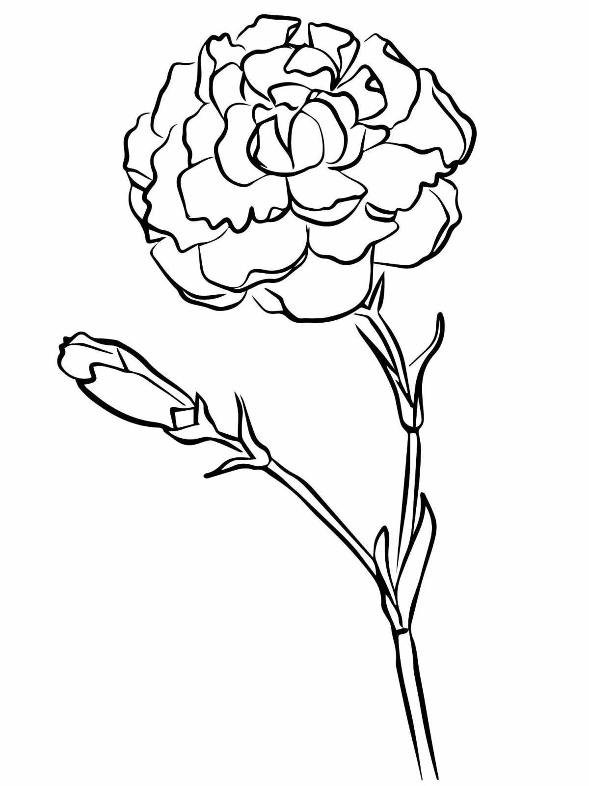 Adorable carnation coloring book for kids