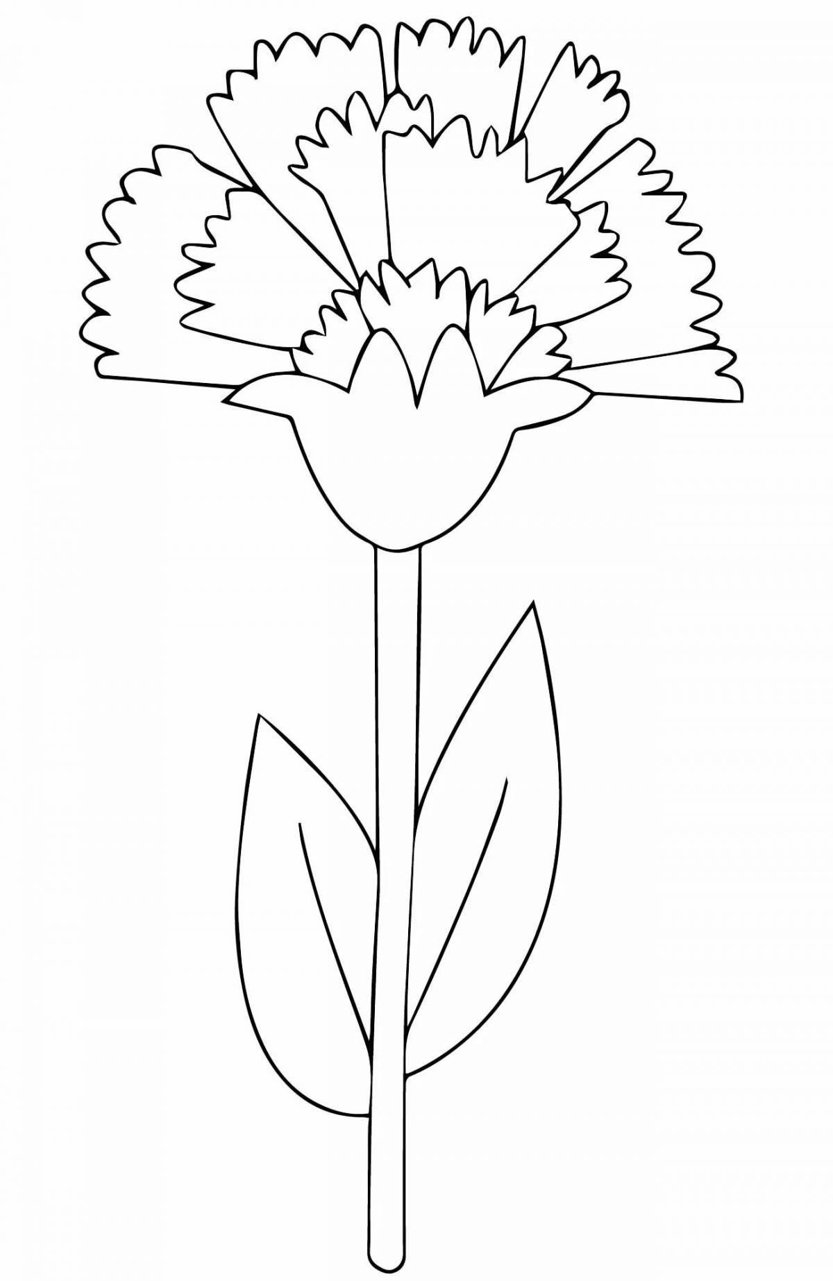Large carnation coloring book for kids