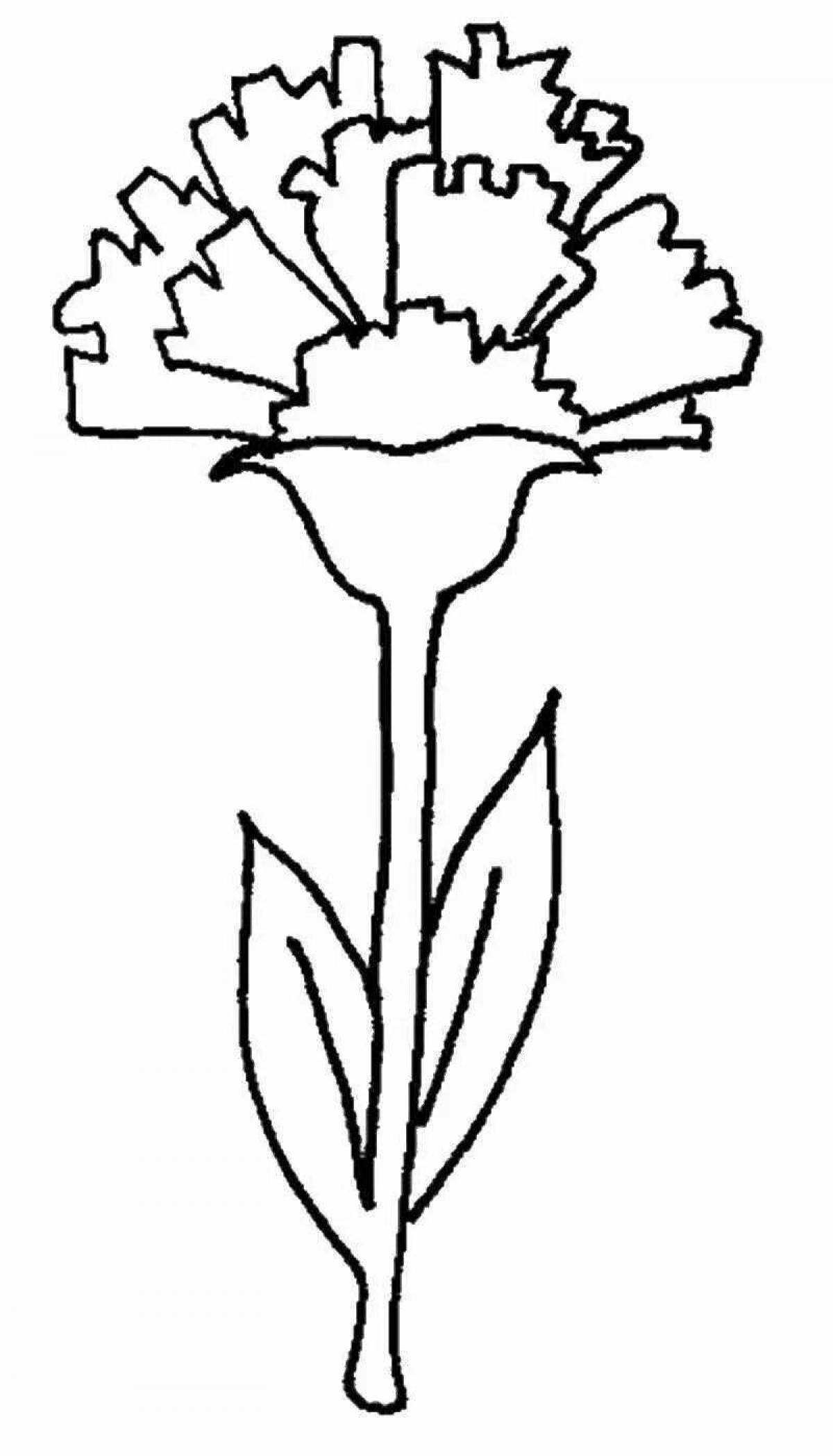 Awesome carnation coloring pages for kids