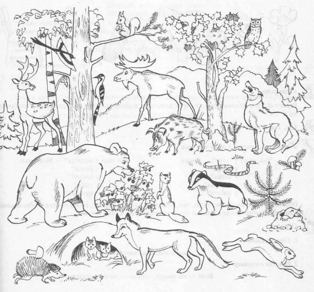 Игривая страница раскраски лесных животных для дошкольников