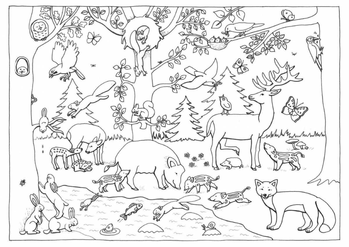 Great forest animal coloring book for preschoolers