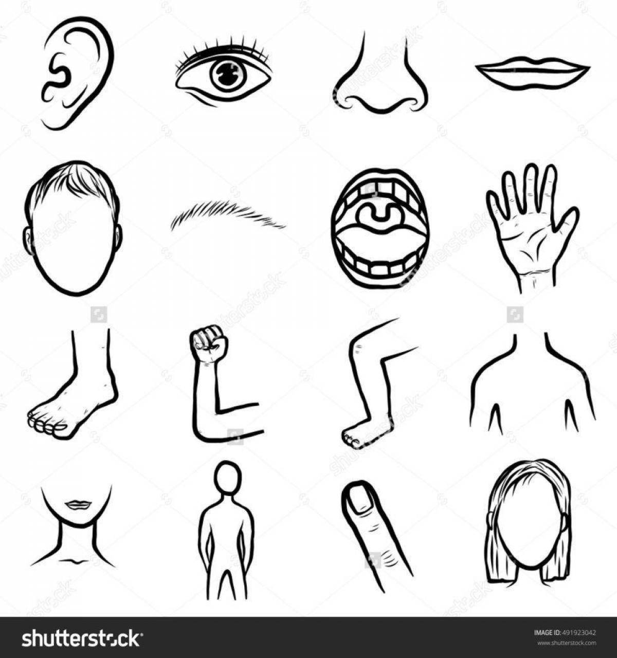 Exciting parts of a face coloring page for kids