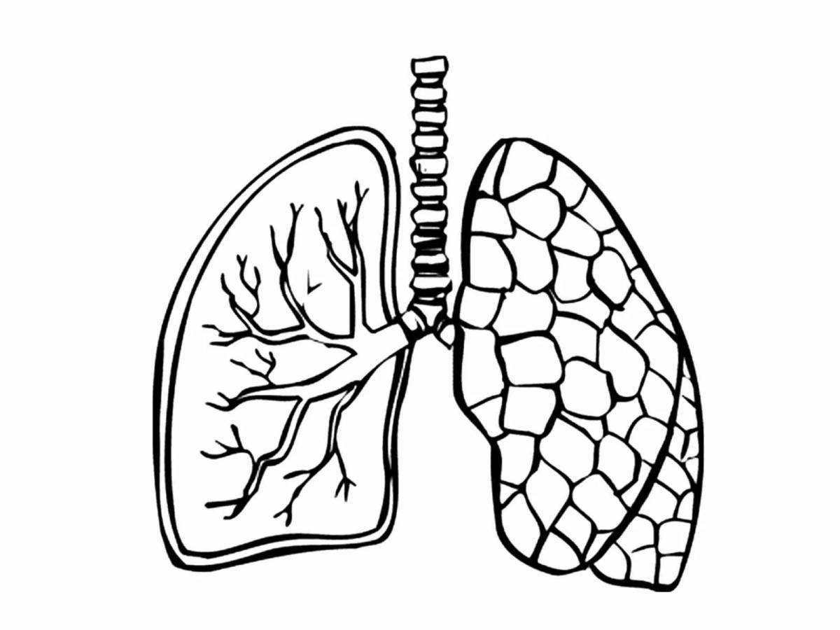 Colorful human lungs coloring pages for kids