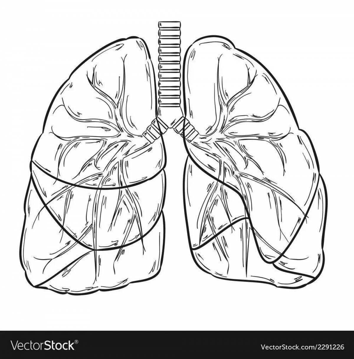 Fun coloring of human lungs for children