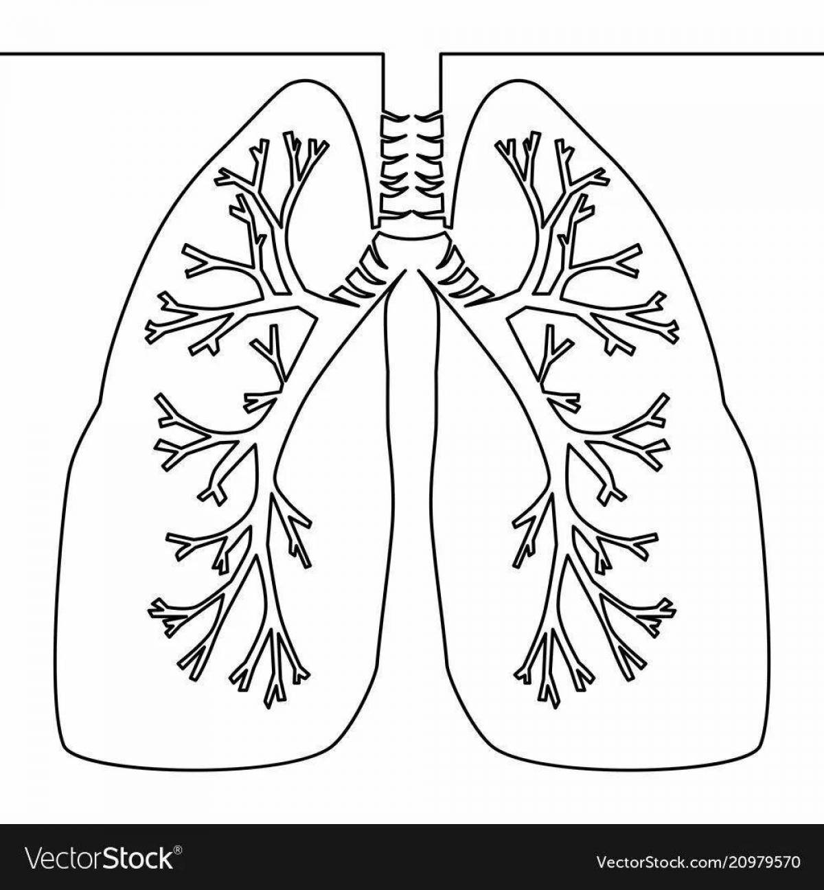Creative human lung coloring for kids